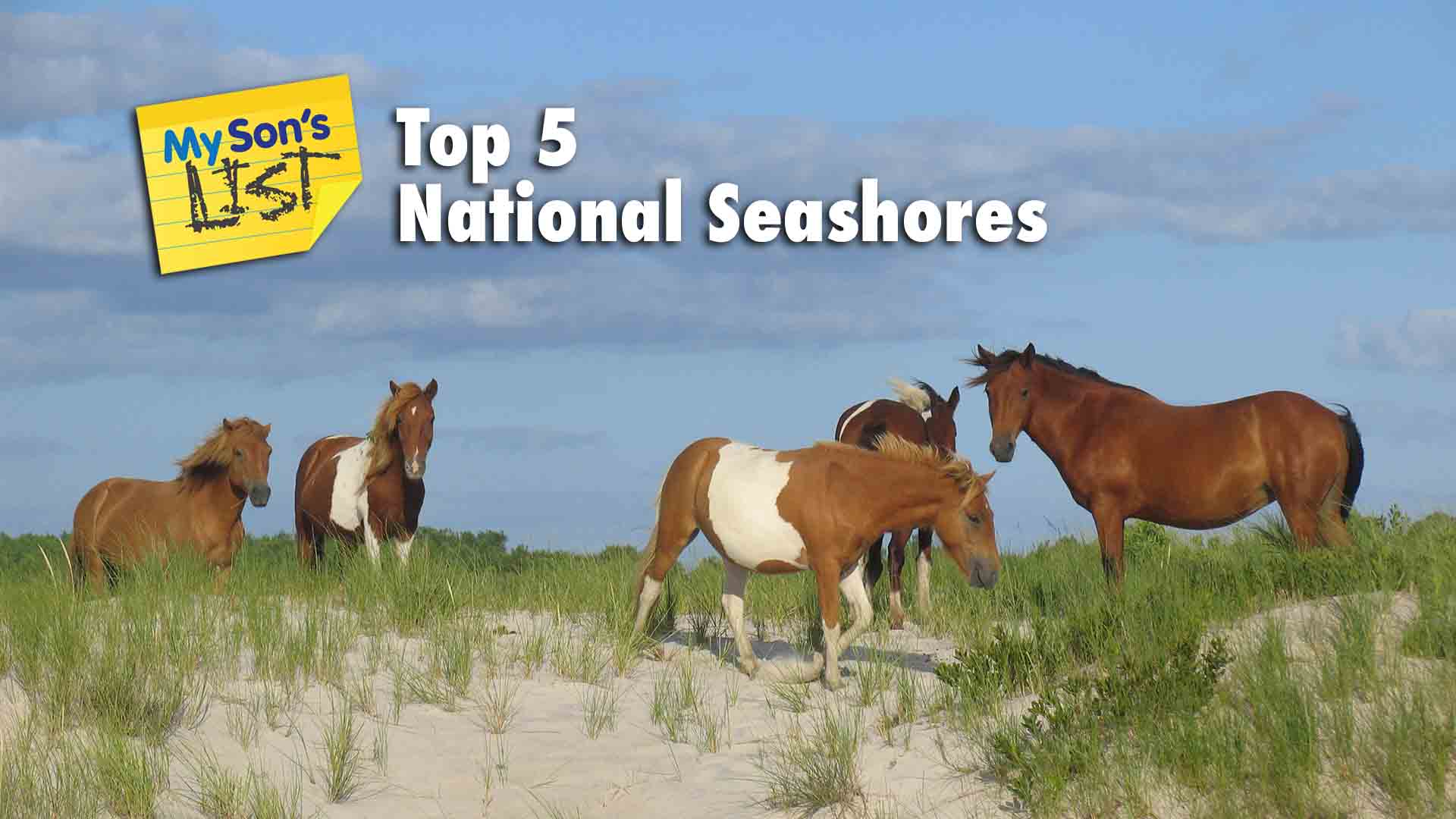 Top 5 National Seashores