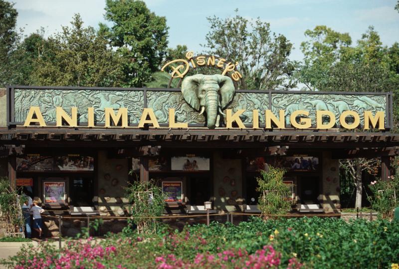 Animal Kingdom at Walt Disney World Resort Amusement Park